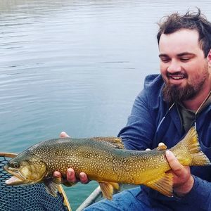 Meet your Posher, Duncan